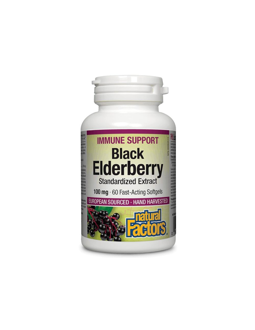Black Elderberry Standardized Extract / Черен бъз /Стандартизиран екстракт/, 100 mg, 60 бързоусвоими софтгел капсули Natural Factors