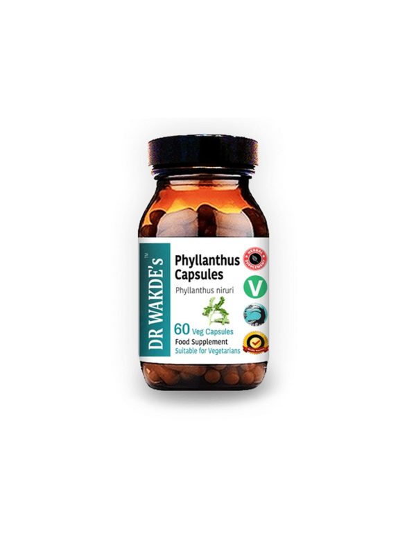 Филантус (Phyllanthus) – при заболявания на черния дроб и далака, подагра, 60 капсули