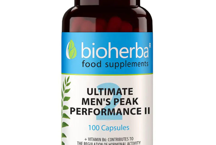 Гъба Рейши / Reishi Mushrum Bioherba 360 mg x 100 капсули