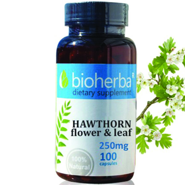 Глог / Hawthorn Bioherba 250 mg x 100 капсули