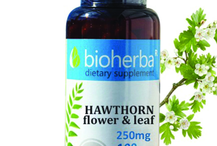 Bioherba Глог / Hawthorn 250 mg x 100 капсули