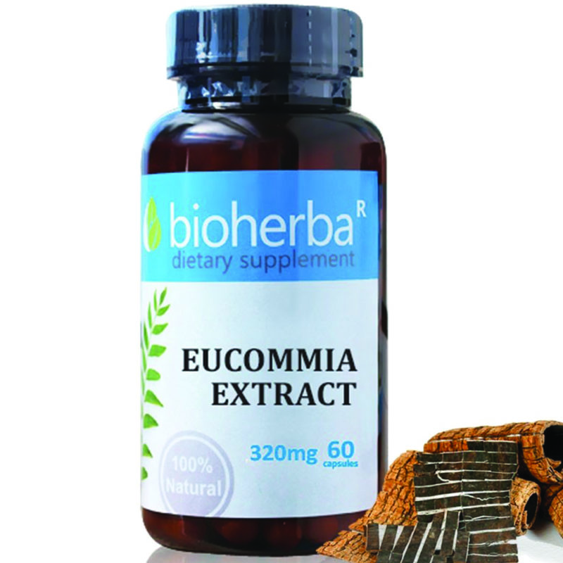 Еукомия / Eucommia Bioherba 320 mg x 60 капсули