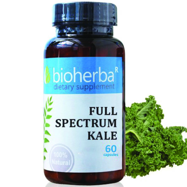 Кейл / Full Spectrum Kale Bioherba 370 mg x 60 капсули