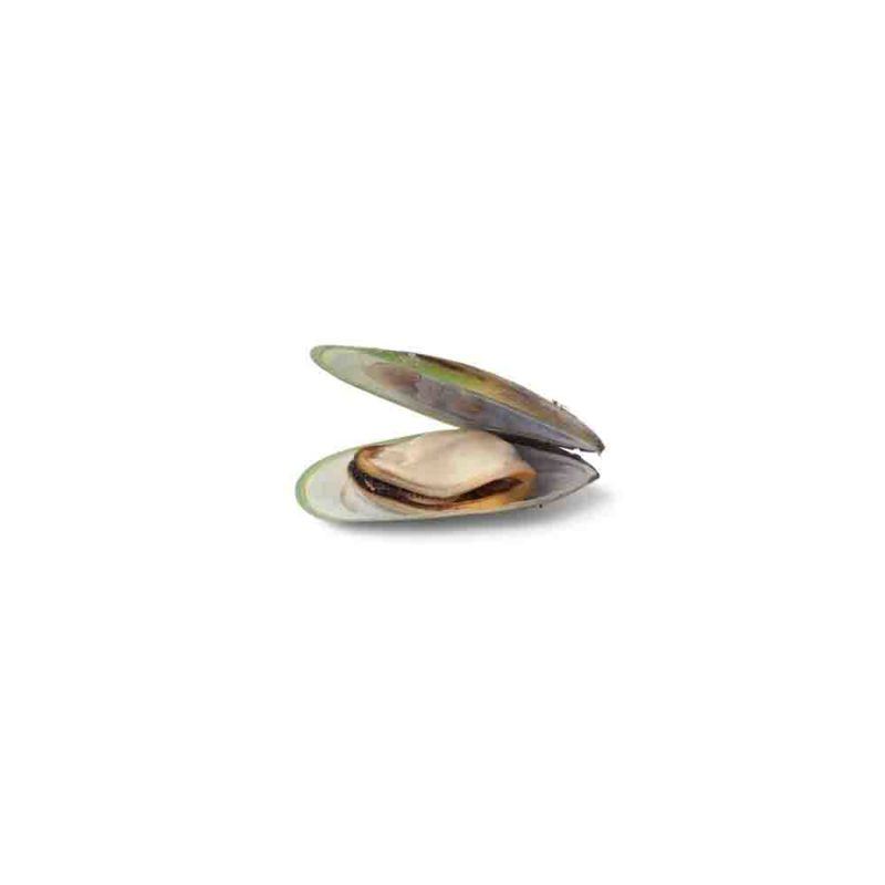 Bioherba Зеленоуста мида / Greenlip Mussel x 60 капсули