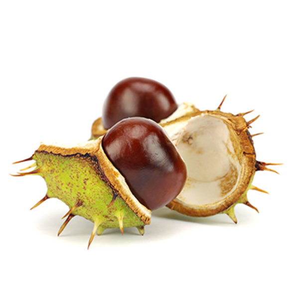 Bioherba Конски кестен / Horse Chestnut 250 mg x 100 капсули