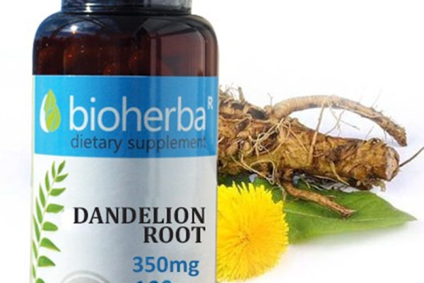 Bioherba Зелено кафе / Green Coffee 370 mg x 100 капсули