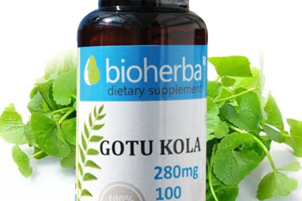 Bioherba Артишок / Artichoke 320 mg x 100 капсули
