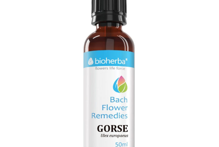 Bioherba Капки на Бах Gorse / Жълтуга 50 ml