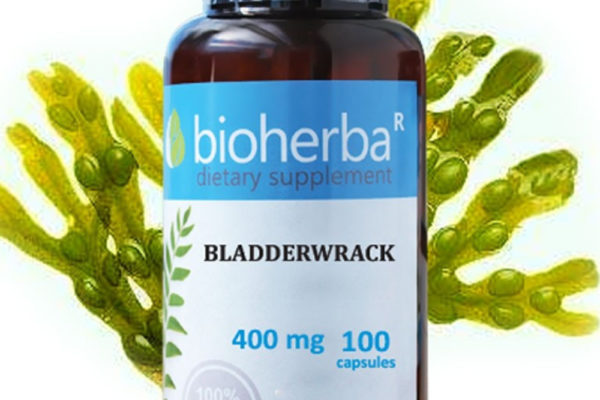 Bioherba Маслина лист / Olive Leaf 280 mg x 100 капсули