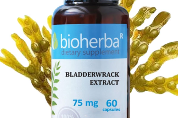 Bioherba Фолиева киселина / Folic Acid 400 mg x 100 капсули