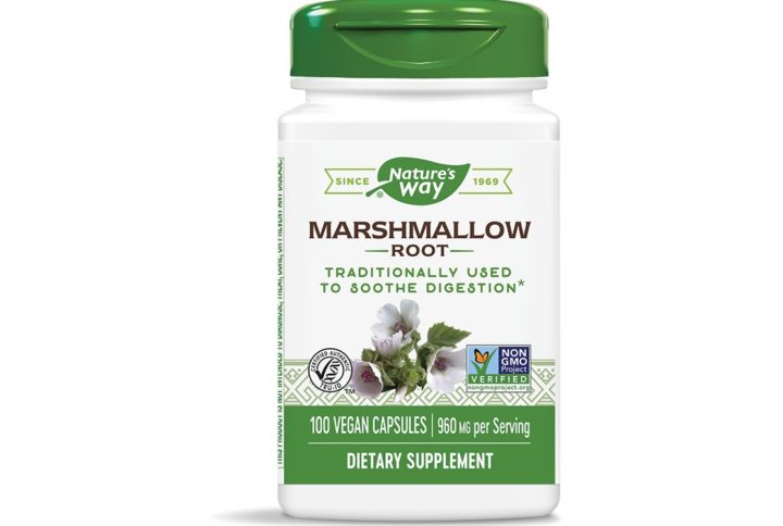 При диабет – Екстракт от бяла черница, 100 mg, 90 капсули Natural Factors